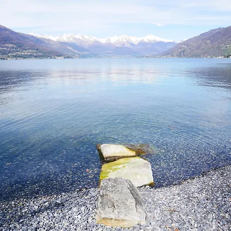 Varenna Gittana Sweet *