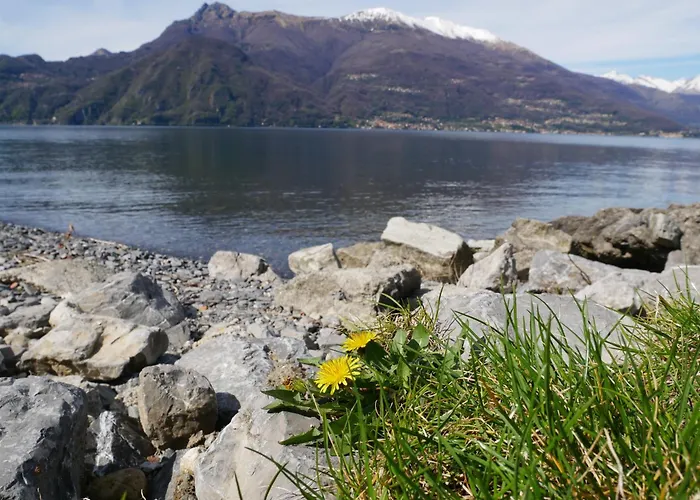 Apartamento Gittana Sweet Perledo